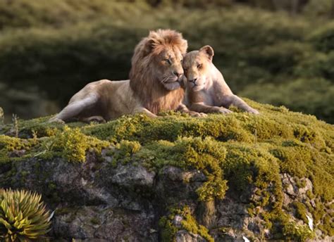 Somewhat more surprisingly, it made a whopping $185 million, which put the disney flick's global take at over half a billion dollars. Box Office - The Lion King is a HIT :Bollywood Box Office ...