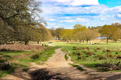 5 Magic Things To Do In Richmond Park London 2024 Candace Abroad 5
