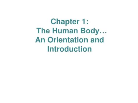 Ppt Chapter 1 The Human Body An Orientation And Introduction