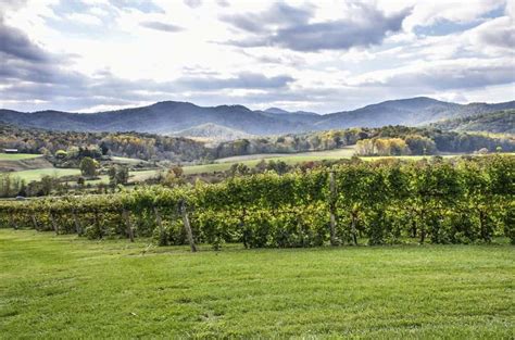10 Top Virginia Wineries A Day Trip From Washington Dc • Winetraveler