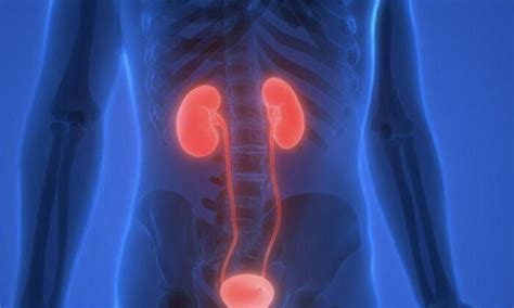 Winter Tips For Nourishing Kidneys And How To Identify Dysfunction