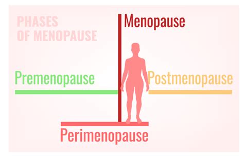 Stages Of Menopause Chapel Hill Gynecology