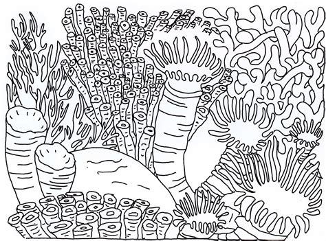 Coral reef is perhaps one of the coolest coloring books for children that you have ever had. Coral Reefs Coloring Pages Collection | Free Coloring Sheets