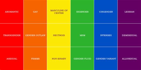 Comprehensive Guide To Sexual Orientation Gender Identity And Sexuality