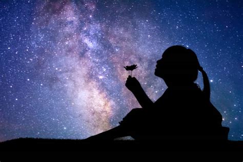 Gazing At The Stars Stock Photos Pictures And Royalty Free Images Istock