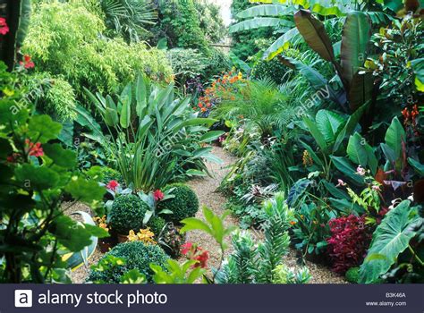 Exotic Planting Tropical Style Garden Banana Plant England