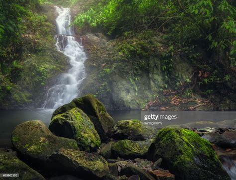 Deep Forest Waterfall High Res Stock Photo Getty Images