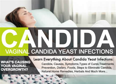 Vaginal Candida Causes Symptoms And Remedies Veledora Health