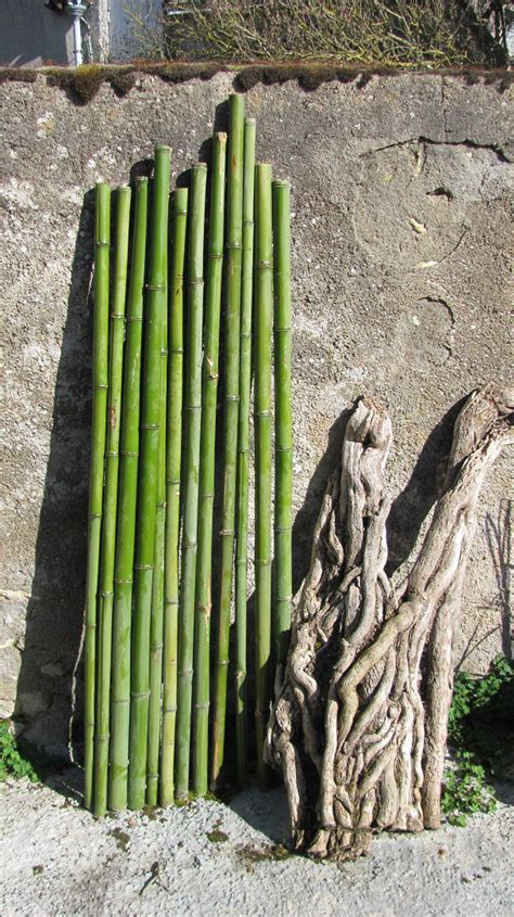 Tiges De Bambou