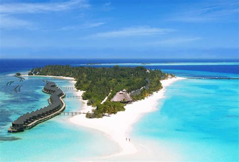 Kuredu Island Resort Maldives Reviews Pictures Map Hot Sex Picture