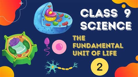Cbse Ncert Class 9 Science 2021 The Fundamental Unit Of Life