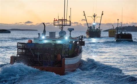 Clear Weather Greets Kickoff Of Lucrative Lobster Season Nova Scotia