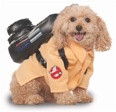 50 Best Small Dog Halloween Costumes The Paws