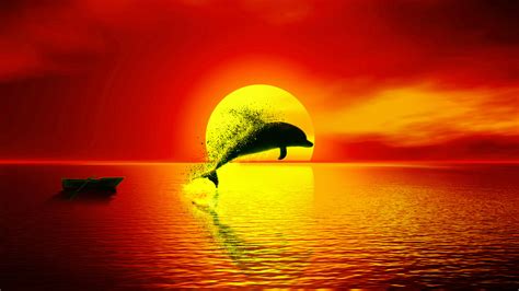 Download 1366x768 Wallpaper Dolphin Dispersion Sunset Seascape Art
