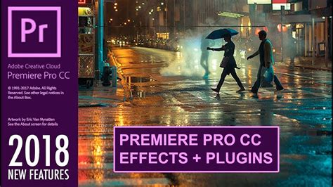 It supports 3d stabilization to adjust precise. ADOBE PREMIERE PRO CC 2018 EFFECTS PLUGINS - YouTube