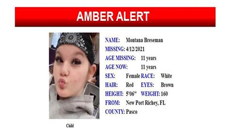 Amber Alert Canceled After Child Missing North Of Tampa Found Safe