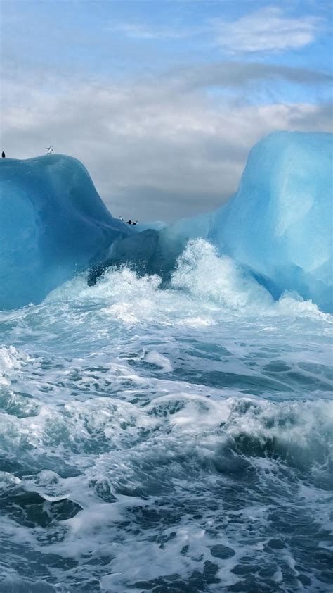 Ocean Surging Wave Penguin Iceberg Iphone 6 Wallpaper Download Iphone