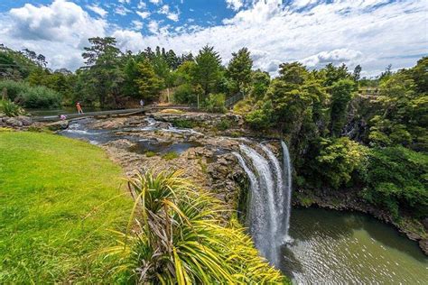 Whangarei Falls All You Need To Know Before You Go