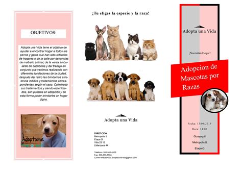 Folleto De Adopción De Mascotas Por Raza By Nicolle Castillo Issuu