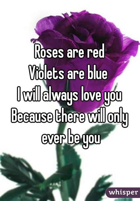 roses are red violets are blue i will always love you because there will only ever be you