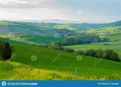 Val D`orcia Landscape In Spring Hills Of Tuscany Cypresses Hills