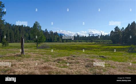 Cascade Mountains Meadow Stock Photo Alamy