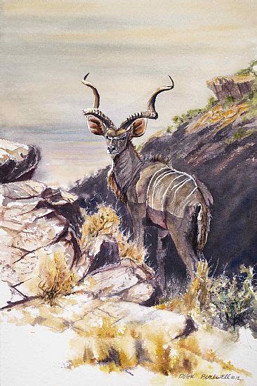 African Wildlife Painting Art By Peter Blackwell