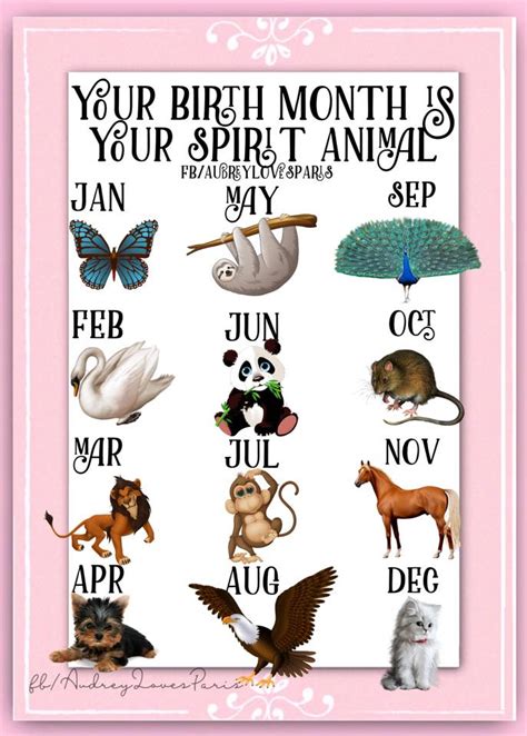 What Is My Spirit Animal By Birth Month Prime Animal Wallpapers