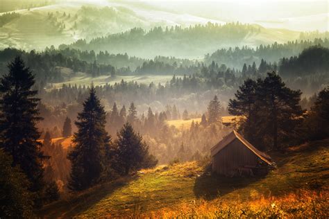 Landscape Cabin Morning Forest Trees Mist Wallpaper 170957