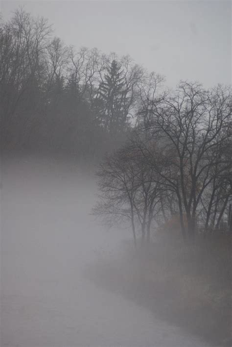 Foggy Bend Foggy Mists Foggy Weather