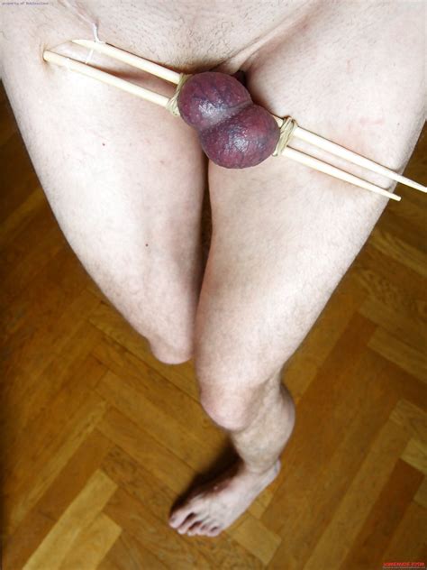 Cocks And Balls All Tied Up Crushed Or Ringed 16