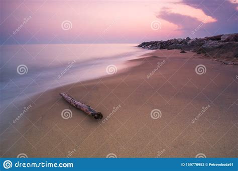 Wood Branch On A Sandy Beach On Twilight Sunset Time Long