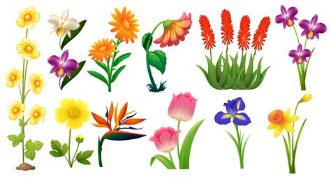 Free 172 Vector Wild Flower Svg SVG PNG EPS DXF File