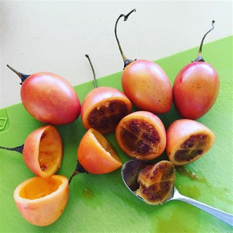 ⭐ Ces 20 Fruits Exotiques Rares Aux Noms étranges Sont D Une Beauté Et D Une Saveur Unique Une