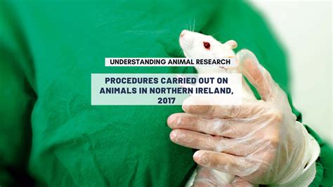 Procedures Carried Out On Animals In Northern Ireland 2017
