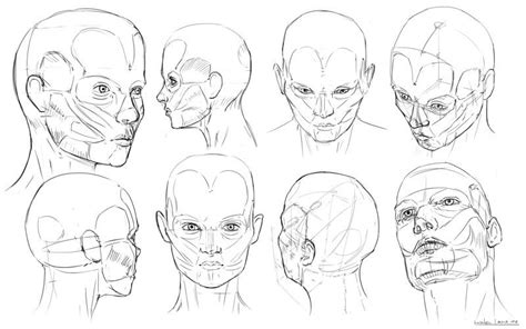 Lionel Designs Human Head Drawing Proportions Human Head Sketches