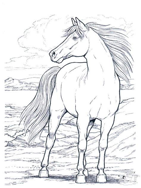 Realistic Horse Coloring Pages To Print Coloring Home