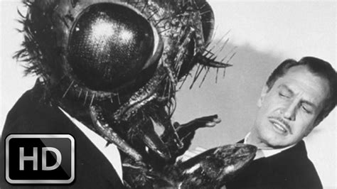 The Fly 1958 Trailer In 1080p Youtube