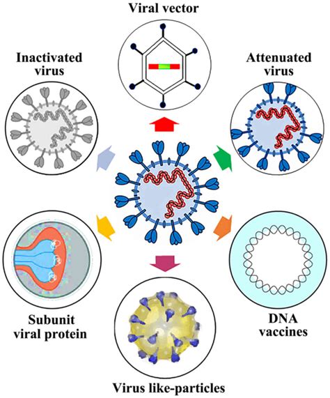Vaccines are medications that make people immune to disease. Towards effective COVID‑19 vaccines: Updates, perspectives ...