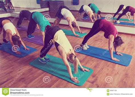 Adults Having Yoga Class In Sport Club Stock Photo Image Of School