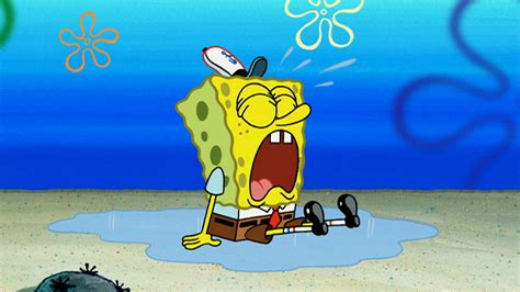 Spongebob Squarepants The Next 100 Episodes Seasons 6 9 Dvd Box Set