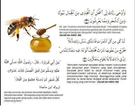 Madu dihasilkan oleh lebah dan kelulut dari nektar bunga tanaman. info.my: khasiat madu lebah
