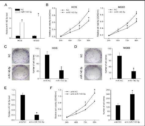 figure 2 from mir 1423 p functions as a potential tumor suppressor in human osteosarcoma by