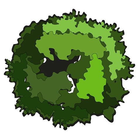 Top Tree Png Tree Png Top View Transparent Tree Top Viewpng Images