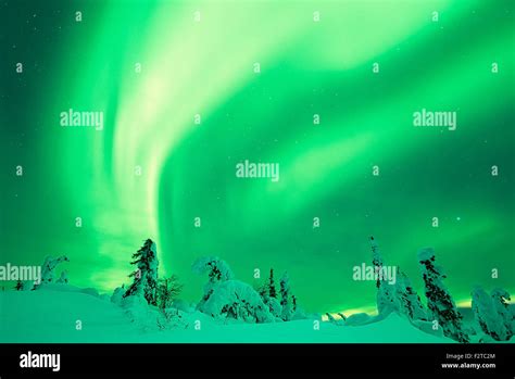 Aurora Borealis Over Snowy Trees Stock Photo Alamy