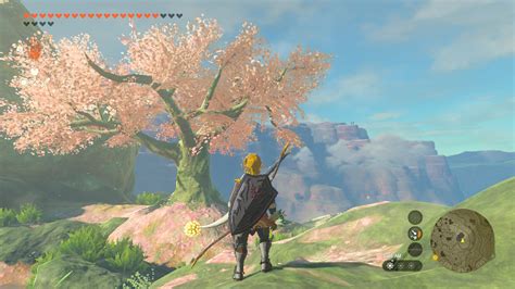 All Cherry Blossom Tree Locations In Zelda Tears Of The Kingdom Totk