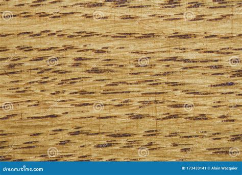 Oak Wood Plank Texture Stock Image Image Of Background 173433141