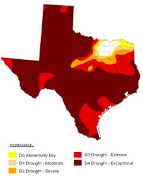 Texas Drought A Disaster While Arlene Drenches Southern Tip The