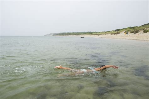 The Magic Of Swimming On Marthas Vineyard The New York Times