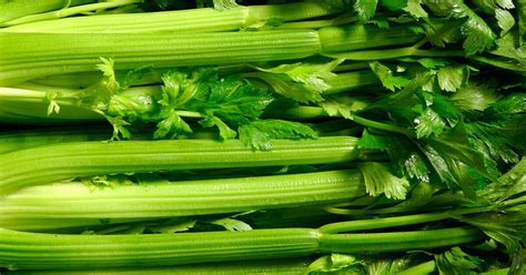 Celery Benefits For Men Fact Or Fiction